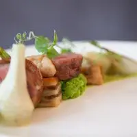 lamb close close left